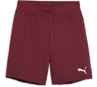 Puma Kinder Sport Shorts TeamGoal Shorts Jr 705753