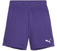 Puma Kinder Sport Shorts TeamGoal Shorts Jr 705753