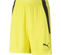 Puma Kinder Sport Shorts TeamLIGA Shorts Jr 704931
