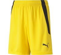 Puma Kinder Sport Shorts TeamLIGA Shorts Jr 704931