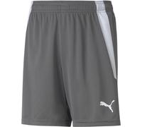 Puma Kinder Sport Shorts TeamLIGA Shorts Jr 704931