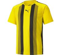 Puma Kinder TeamLIGA Striped Jersey Jr 704927