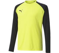 Puma Kinder TeamPACER GK Longsleeve Jersey Jr 704939