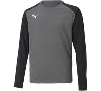 Puma Kinder TeamPACER GK Longsleeve Jersey Jr 704939