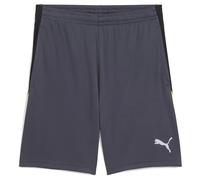 Puma Liga Shorts Grey M