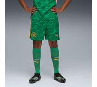PUMA Manchester City 25/26 Goalkeeper Shorts Men, Archive Green/Heat Fire, size Large