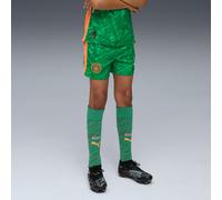 PUMA Manchester City 25/26 Goalkeeper Shorts Youth, Archive Green/Heat Fire, size 15-16 Youth