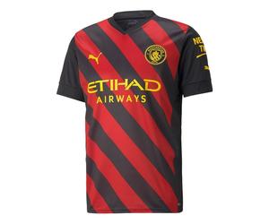 PUMA Manchester City FC Away Jersey 'Red' 765722-02 M