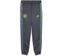 Puma Manchester City Fc King Anthem Pants