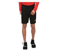 Puma Men Evo TRG Tech Knitted Pants - Puma Black-Ebony-Fiery Coral, 2 X-Large arge