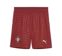 Puma Mens FA Portugal Shorts Replica