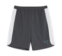 PUMA Mens Fitness Performance Training Shorts Grey/Aqua XXL