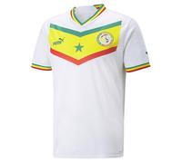 PUMA Men's Fsf Home Jersey Replica, White Pepper Green, L