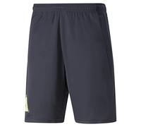 PUMA Men's Fußball Park Shorts Knitted Shorts