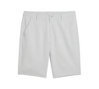 Puma Mens Golf Tech 2.0 Shorts Ash Gray 36
