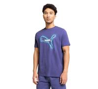PUMA Men's Graphic T-Shirt (Available in Big and Tall Sizes), Blue Crystal Street Art Ss25, Medium