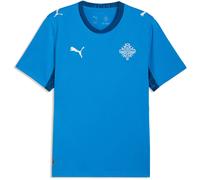 Puma Mens Iceland Home Shirt 2026 International Round Neck