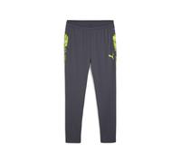 Puma Mens IndividualCUP Football Pants - Grey - Size X-Large