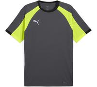 Puma Mens Individualliga Jersey T-Shirt in Gray/Yellow - Grey - Size Medium