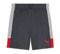 PUMA Men's Individualliga Training Shorts Knitted Shorts