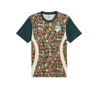 Puma Ivory Coast Pre Match Shirt 2025 Adults S Green