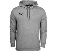 Puma Teamgoal 23 Causals Hoodie