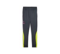Puma Pro Training Pants M Strong Gray