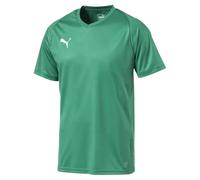 Puma Men's LIGA Jersey Core, Pepper Green White, S
