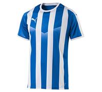 Puma Men's LIGA Jersey Striped, Electric Blue Lemonade-White, XL