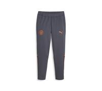 Puma Mens Manchester City Football Casual Sweatpants - Grey - Size Large