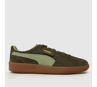 PUMA Men's Palermo Trainers in Khaki & Brown, Suede, Size: 9 UK 9 (EU 43)