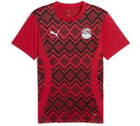 Puma Egypt 24/25 Pre Match Short Sleeve T-shirt Red S Men