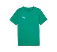 Puma Mens Puma TeamRISE Matchday Training T Shirt DryCELL Green 706132 - XL