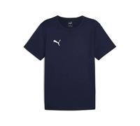 Puma Mens Puma TeamRISE Matchday Training T Shirt DryCELL Navy 706132 - 3XL