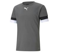 Puma Mens Puma TeamRISE T Shirt DryCELL Football Jersey Grey 704932 - M