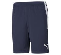 Puma Men's Shorts - Team League Training Shorts, Logo, Polyester, Short
