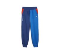 PUMA Men's Standard BMW MMS Essentials Fleece Sweatpants, Pro Blue-m Color+, Large