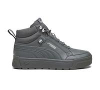 Puma Mens Tarrenze SB III Sneaker, Shadow Gray-shadow Gray-cool Mid Gray Ah25, 10