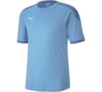 Puma Men's Team 21 Final Training Jersey, Teamlight Blue/Blue Yonder, Medium