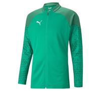 PUMA Men's Teamcup Training Jacket Knitted Jacket