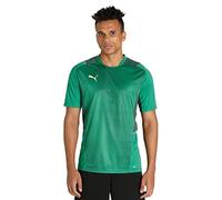 PUMA Men'S Teamcup Training Jersey Performance Tee, Green-Dark Green-Green Gecko, Xxl