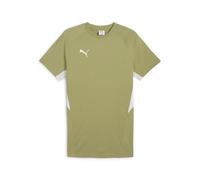Puma Men's Teamevostripe Tee Tees