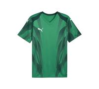 PUMA Men's Teamfinal Graphic+ Jersey Jerseys (Pack of 1)