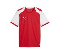 Puma Men's Teamfinal26 Knit Jersey Jerseys (Pack of 1)