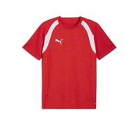 Puma Men's Teamfinal26 Training Jersey Jerseys (Pack of 1)