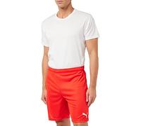 Puma Men's teamGOAL 23 knit Shorts Red, 3XL