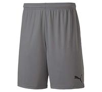 Puma Men's teamGOAL 23 knit Shorts, Steel Gray, S