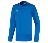 PUMA Men's Teamgoal 23 Training Sweat Pullover