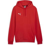 PUMA Men's Teamgoal Casuals Hoody Pullover