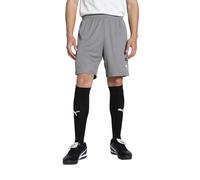 Puma Men's Teamgoal Shorts Knitted Shorts